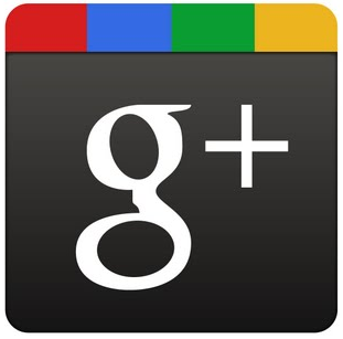 Doing Things Correctly on Google Plus: Social Networks, Youth Practices and What Educators Need to Know about Appropriation
